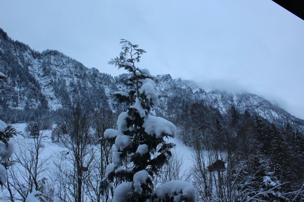 Chalet Burglauenen Grindelwald Dış mekan fotoğraf